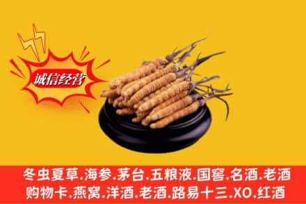 福绵区名酒回收冬虫夏草.jpg